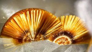 Какоксенит: свойства и значение для человека