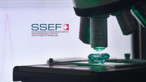 SSEF запускает бесплатные онлайн-курсы по основным драгоценным камням