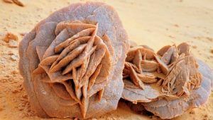 Камень «Роза пустыни»: особенности, свойства и применение Камень «Роза пустыни»: особенности, свойства и применение