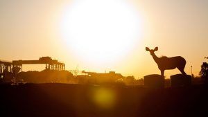 Anglo American: De Beers возвращается к прибыли на фоне восстановления рынка Anglo American: De Beers возвращается к прибыли на фоне восстановления рынка