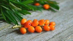 Броши с янтарем: особенности, как выбрать и носить Броши с янтарем: особенности, как выбрать и носить