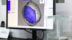 Продажи Sarine превысили допандемический уровень Продажи Sarine превысили допандемический уровень