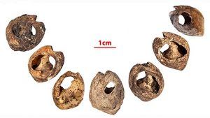 Ювелирные изделия возрастом 150000 лет