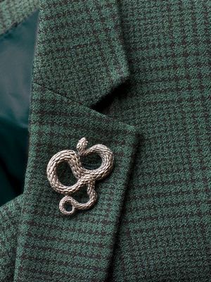 брошь в виде змеи