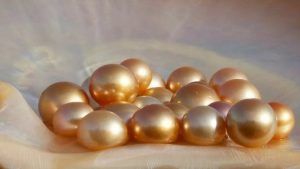 Как вырастить жемчуг в домашних условиях