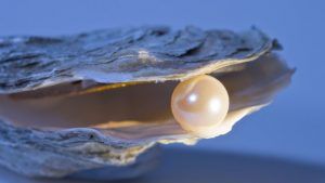 ТОП-10 самых дорогих жемчужин в мире