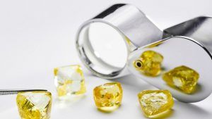 Burgundy Diamond Mines покупает желтые алмазы для огранки