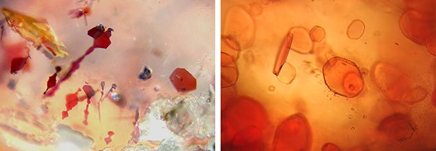 Микроскопические изображения красных полосатых и неправильных чешуйчатых включений гематита в клубничном кварце (слева) и оранжево-красных включений мусковита (алургита) в образце розового авантюринового кварца (справа). Микрофотография Шу-Хонг Линя; поле зрения 1,26 мм