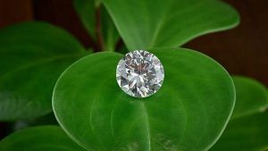 Shairu Gems: первые в Индии природные бриллианты CarbonNeutral®