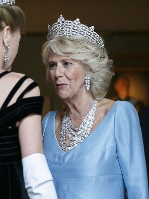 Комлект Гревилл