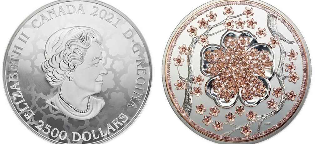 Килограммовая платиновая монета продана за 800 тысяч фунтов стерлингов