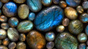 Есть ли разница между лабрадором и лабрадоритом? Есть ли разница между лабрадором и лабрадоритом?