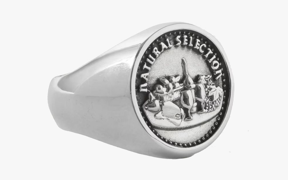 Серебряное кольцо-печатка Natural Selection от Maple