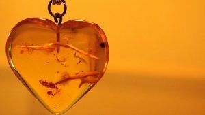 Какой ювелирный подарок презентовать друзьям на янтарную свадьбу