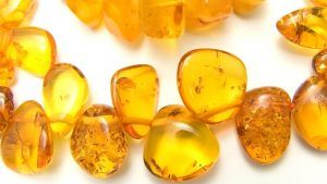 Какие камни подходят Рыбам, рожденным в год Собаки