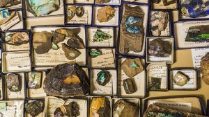 Австралийский музей открыл новую ослепительную Minerals Gallery