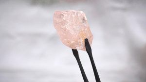 Компания Lucapa продала розовый алмаз весом 170 карат