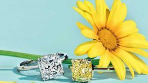 6 ювелирных брендов, создающих устойчивое будущее 6 ювелирных брендов, создающих устойчивое будущее