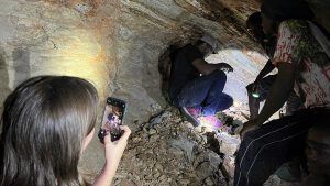 Gem Legacy Adventures о поездках в Восточную Африку в 2024 году