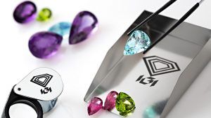 Blackstone покупает Международный геммологический институт