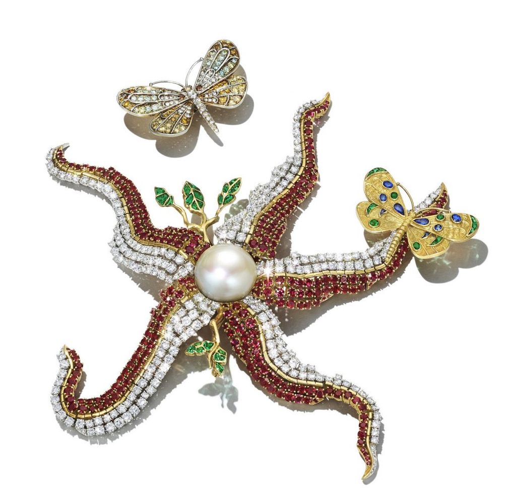Брошь Сальвадора Дали Étoile De Mer («Морская звезда») с культивированным жемчугом, рубинами, бриллиантами и изумрудами