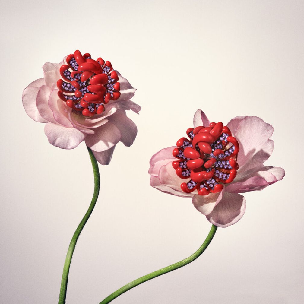 Украшения из коллекции Genesis от David Yurman Украшения из коллекции Genesis от David Yurman