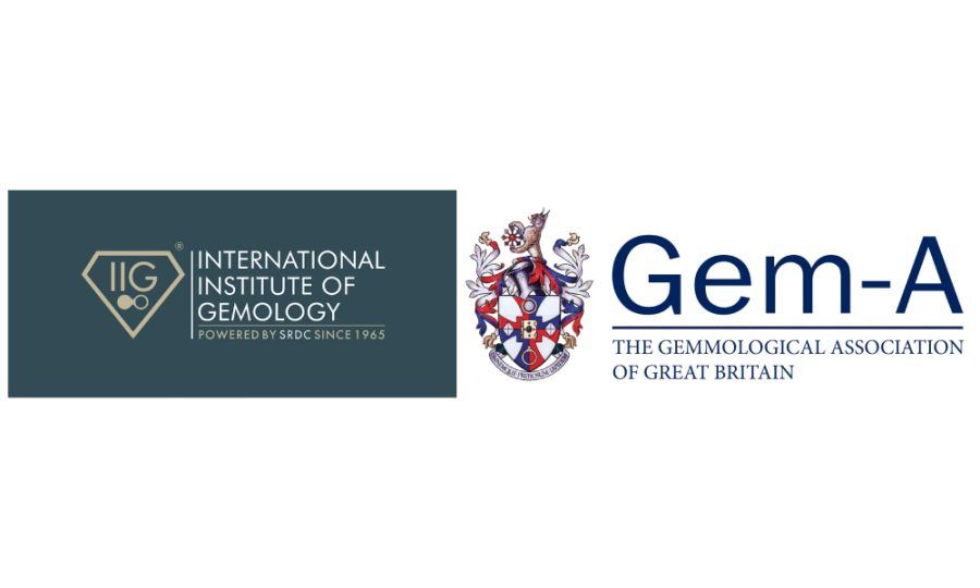 IIG и Gem-A сотрудничают, чтобы провести дипломный курс по геммологии в Индии