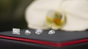 WD Lab Grown Diamonds подала заявление о банкротстве