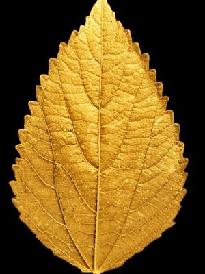 Искусство сусального золота