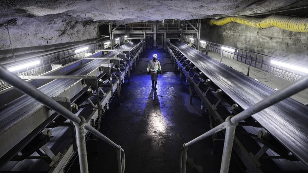 Цены на сырье на последнем тендере Petra начали восстанавливаться