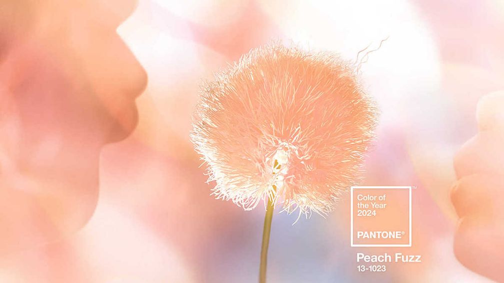 Peach Fuzz — цвет 2024 года по версии Pantone Peach Fuzz — цвет 2024 года по версии Pantone