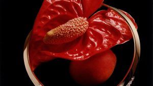 Самые захватывающие ювелирные украшения от парижских мастеров Самые захватывающие ювелирные украшения от парижских мастеров