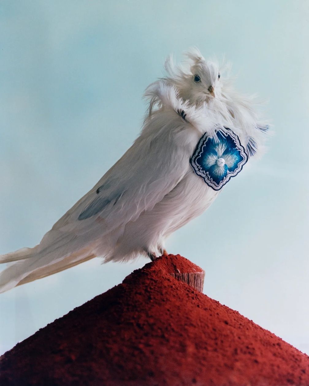 Самые захватывающие ювелирные украшения от парижских мастеров