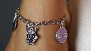 Коллекция, вдохновленная фильмом «Голодные игры: Баллада о певчих птицах и змеях» Коллекция, вдохновленная фильмом «Голодные игры: Баллада о певчих птицах и змеях»