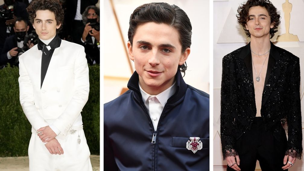 Тимоти Шаламе любит природные бриллианты и ненавидит рубашки