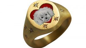 В центре внимания – домашние питомцы