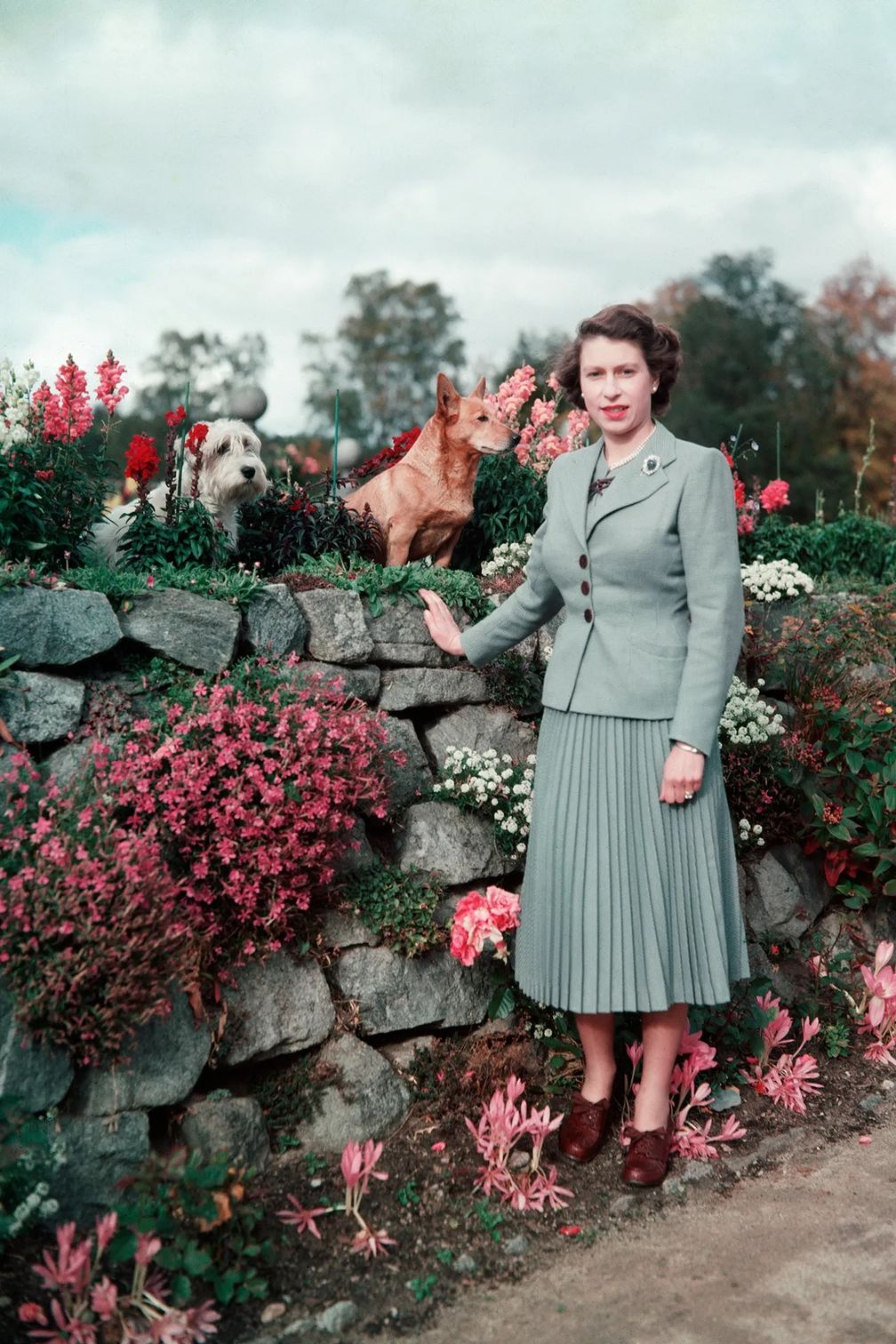 В центре внимания – домашние питомцы