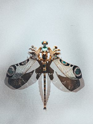 мужская брошь