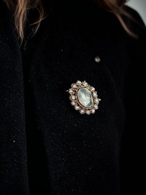 броши на пальто