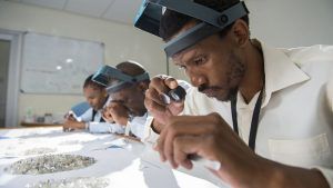 Сделка Lucara с HB о поставках сырья возобновлена Сделка Lucara с HB о поставках сырья возобновлена