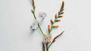 О коллекции Frivole от Van Cleef & Arpels, вдохновленной цветами