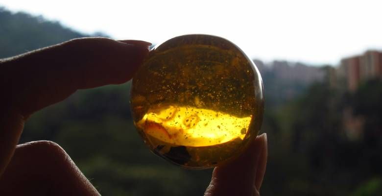 Янтарные украшения для Тельцов: подходят или нет?