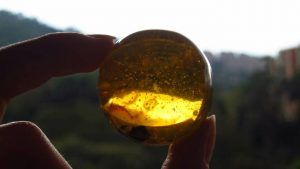 Янтарные украшения для Тельцов: подходят или нет?