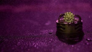 Украшения с цирконом для Козерогов: подходят или нет? Украшения с цирконом для Козерогов: подходят или нет?