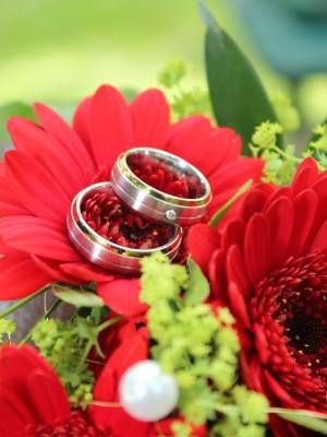 обручальные кольца