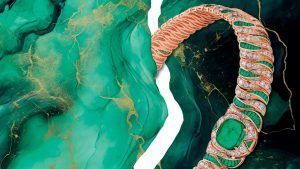 Приглашаем в Изумрудный город Приглашаем в Изумрудный город