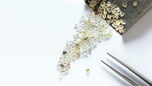 Okavango Diamond Company отменяет декабрьскую продажу