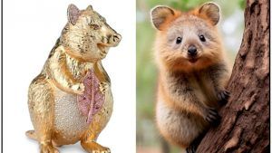 «Самое счастливое животное в мире» украшено розовыми алмазами Аргайл