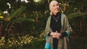 Brilliant Earth представляет коллекцию Jane Goodall