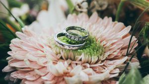 Как выбрать обручальное кольцо: полезные советы Как выбрать обручальное кольцо: полезные советы